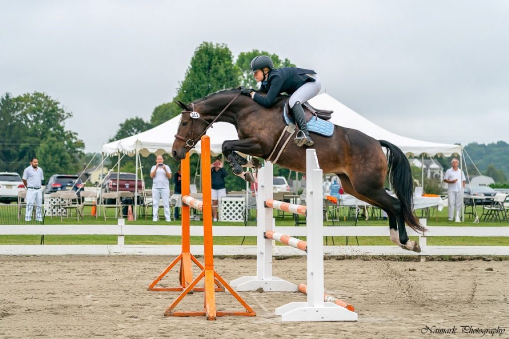 Report from the Road On Course Riding Academy (NJ) KWPNNA