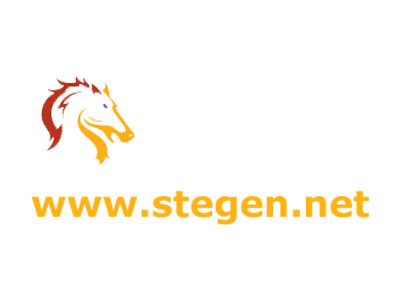 The Homepage of Steven Stegen