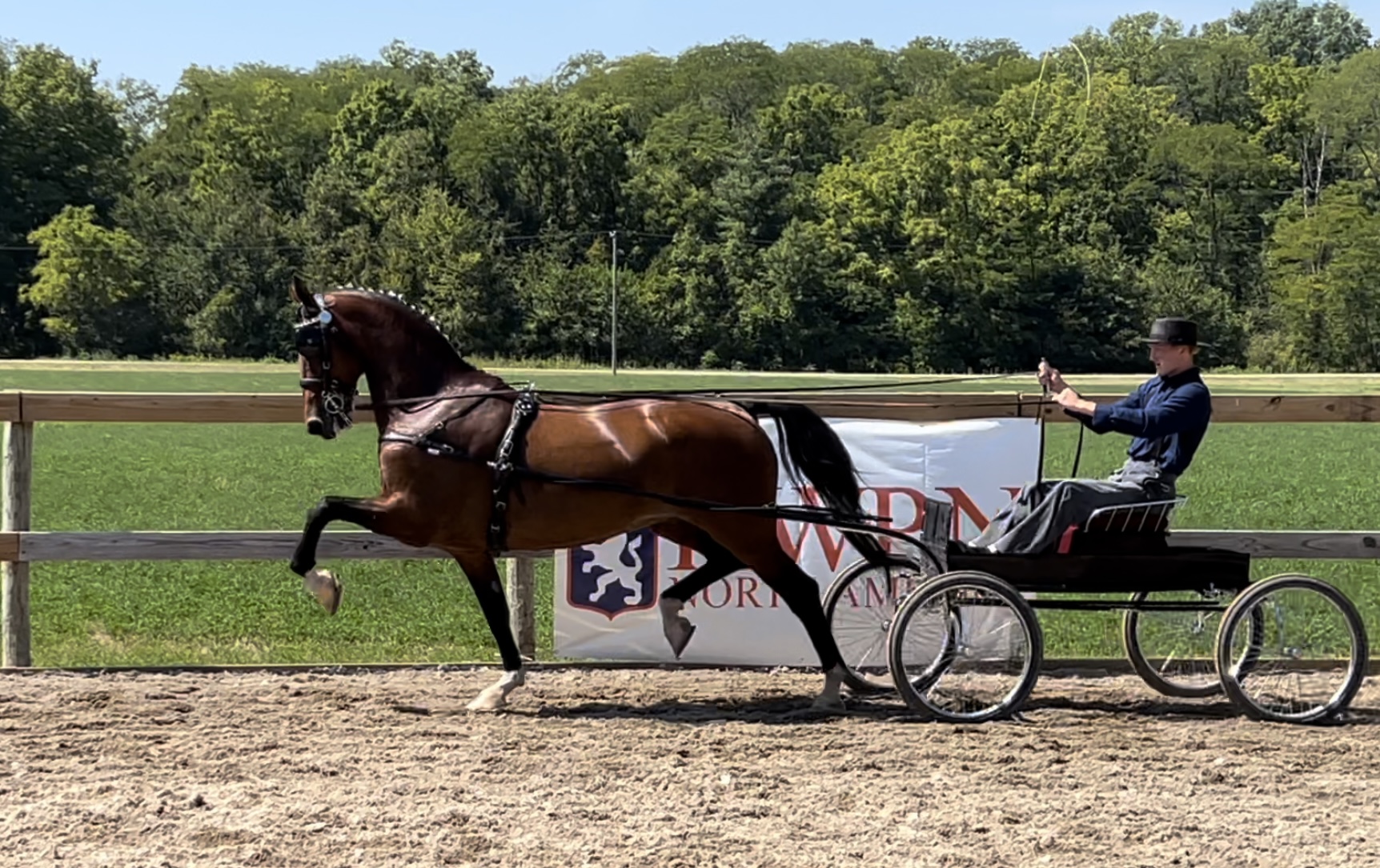 Hippoevent - Open House 2018 @ Van der Wiel Harness