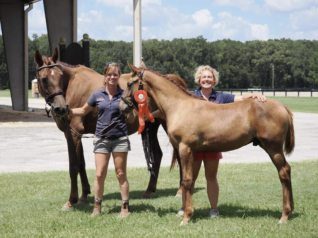 Florida Horse 2020 Stallion Register by Florida Equine