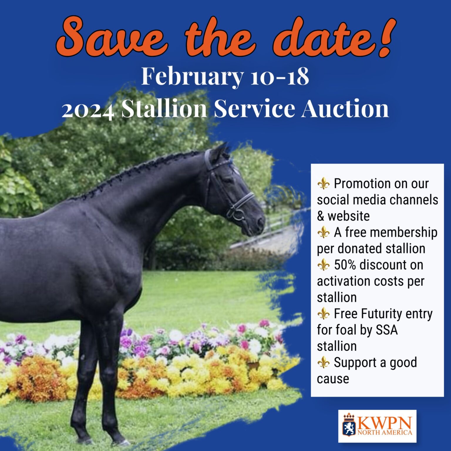 Save the date for the Stallion Service Auction 2024 KWPNNA