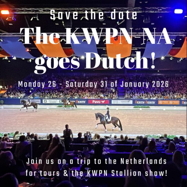 Save the Date flyer