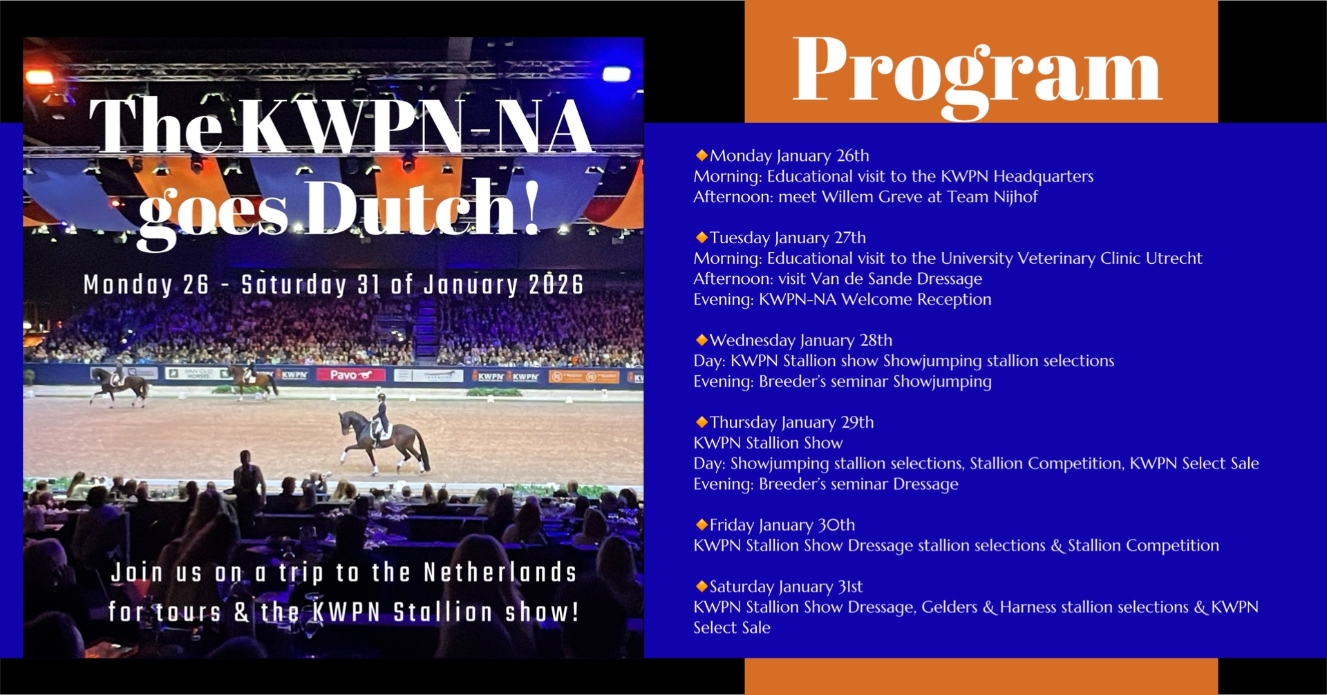 Program KWPN-NA goes dutch