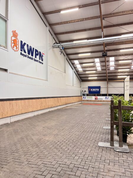 KWPN First viewing 2025