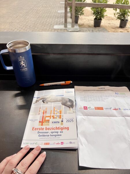 KWPN First viewing 2025