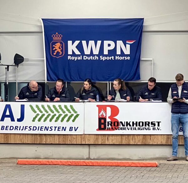 KWPN First viewing 2025