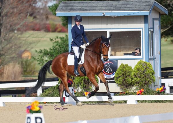 612145224_1293591326137370_3174939823320750617_n