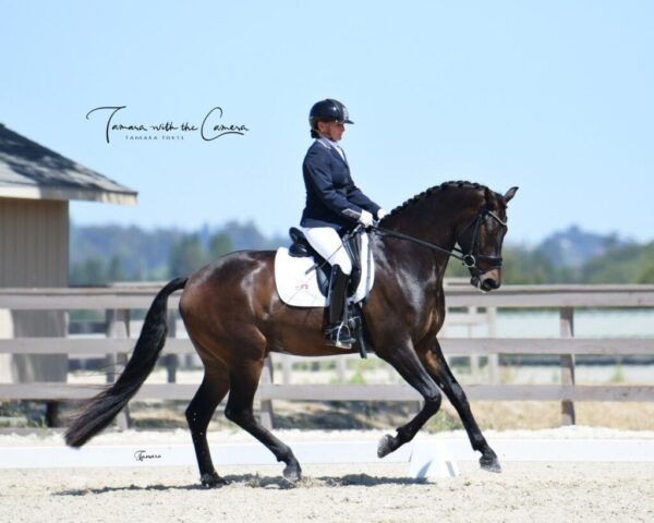 615336707_1293591459470690_4390158479370086208_n